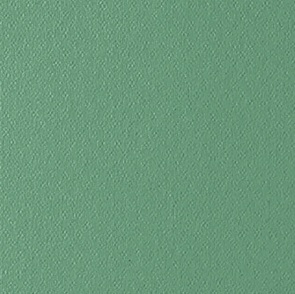 Revestimiento Anti-Humedad Tassoglas G114 Fibra de Vidrio Blanco Rollo 5 m² - Image 2