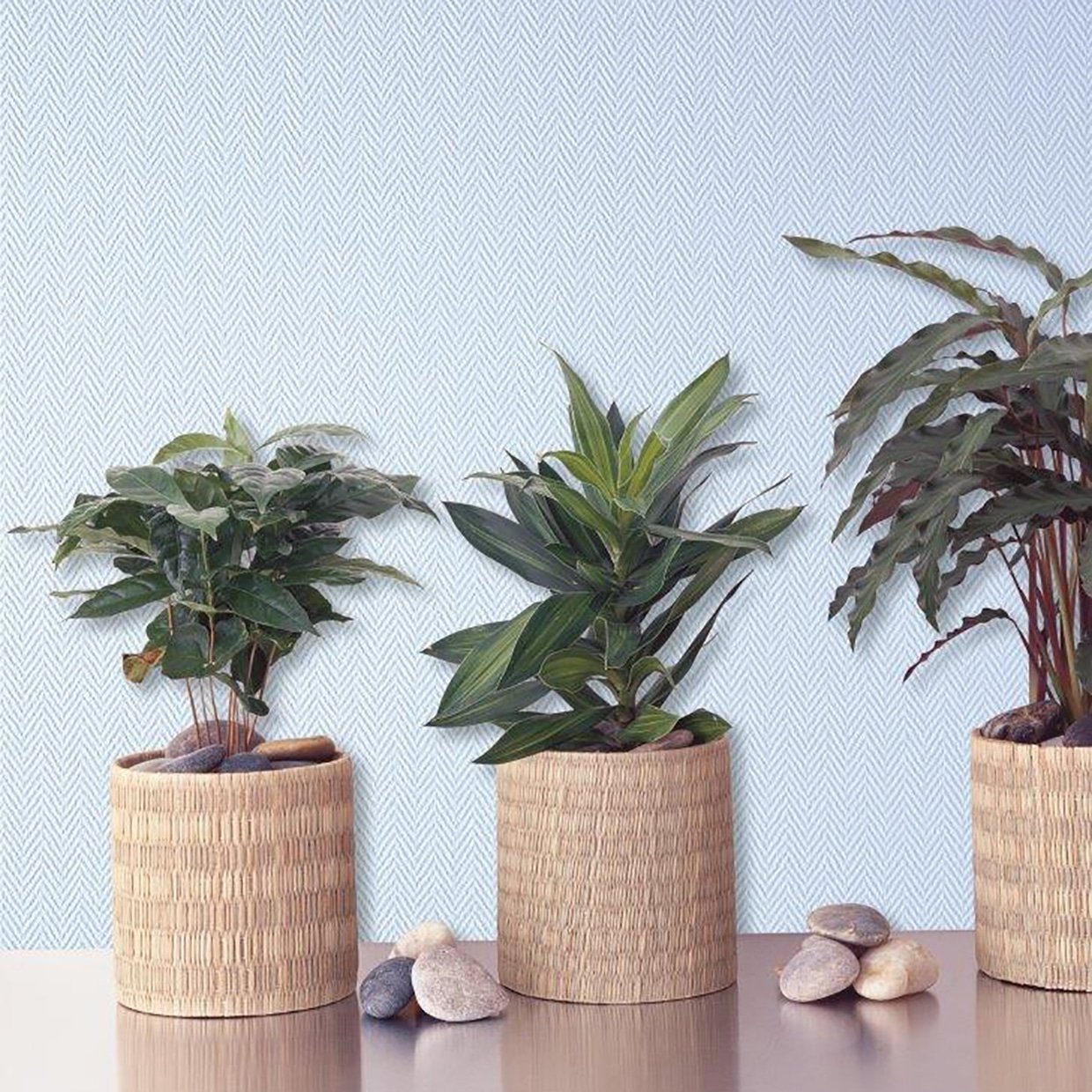 G116-01 Revestimiento Anti-Humedad Tassoglas G116 Fibra de Vidrio Blanco Rollo 5 m² - Image 1