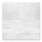 Placa Cielorraso Desmontable EPS Lineal 60x60 cm Blanco